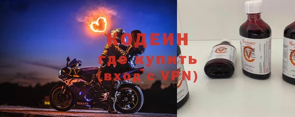 ПСИЛОЦИБИНОВЫЕ ГРИБЫ Михайлов