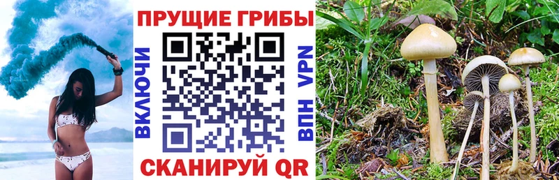 блэк спрут ONION  Стрежевой  Галлюциногенные грибы ЛСД 