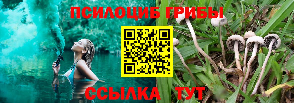 Стрежевой  Псилоцибиновые грибы Magic Shrooms  Вход с VPN  Галлюциногенные грибы прущие грибы 